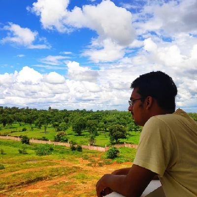 BasharAli101's profile picture. Software Engineer