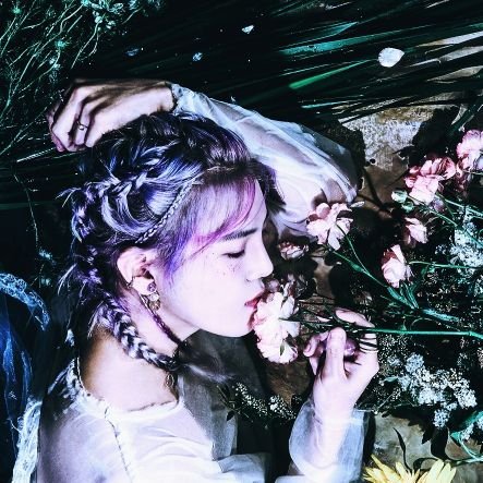 🔞 | 30+ | A.C.E | THE ROSE | hag here | rps | rts nsfw content so proceed with caution