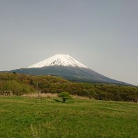 シュウ (@shubs10nnm) 's Twitter Profile