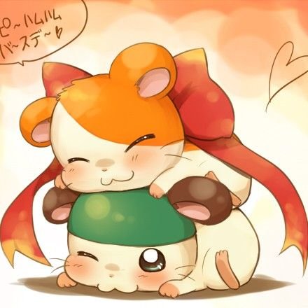 はむ太郎さんのプロフィール画像