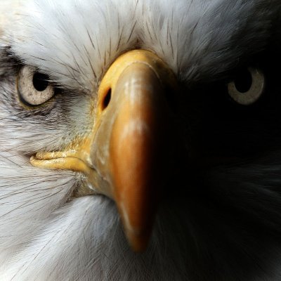 mcourtney67's profile picture. Invest in yourself spiritually, physically and mentally. Carpe diem.