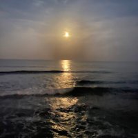 Matebocha (@matebocha) 's Twitter Profile