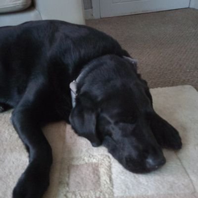 Sparkle51423's profile picture. 