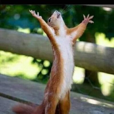 cryptofan1233's profile picture. Simple