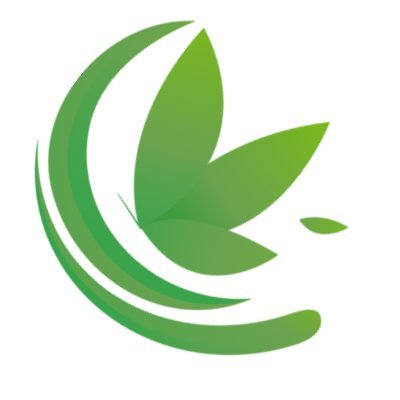 RelaxingInstru1's profile picture. Music Video