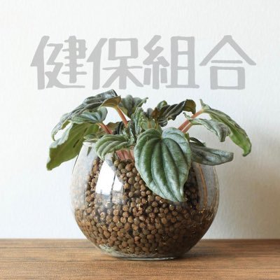 健保2019レセプト担当→2025資格担当へ。高額療養費制度見直しのゴタゴタに巻き込まれる前に脱出できてほくそ笑みつつも、いつ古巣に戻れと言われてもおかしくないので震えてます