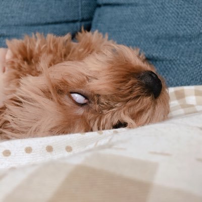 うめ チャンジャ雑炊 我ながら渋いですが最近つくりましたw 高校生のくせにチャンジャが好きなイキったやつですが力作 美味しかった 料理上手くなりたい 料理好きと繋がりたい 料理垢 うめ チャンジャ雑炊 我ながら渋いですが最近つくりましたw 高校生のくせにチャンジャが好きなイキったやつですが力作 美味しかった 料理上手くなりたい 料理好きと繋がりたい 料理垢
