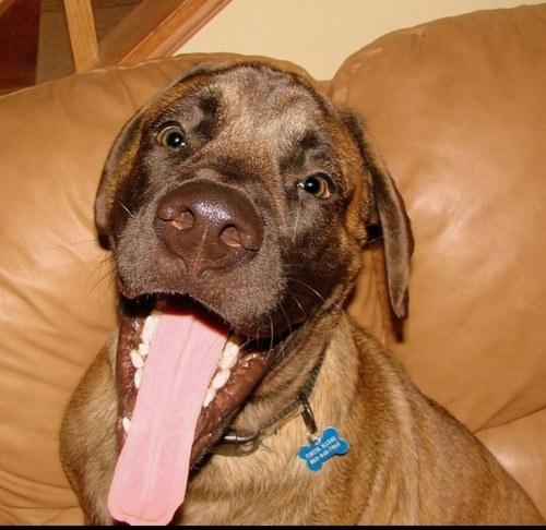 jcmarsh1's profile picture. 