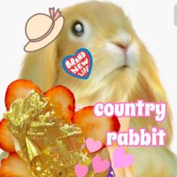 country rabbit (@country_rabbit) 's Twitter Profile