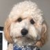 ... (@coldoolong) Twitter profile photo ... (@coldoolong) Twitter profile photo