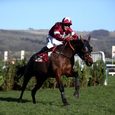 GJHBettingDiary's profile picture. Horse racing thoughts and betting diary - inspired by @theformanalyst