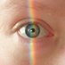 🏳️🌈 Marry 💗💛💙 (@animahum) Twitter profile photo 🏳️🌈 Marry 💗💛💙 (@animahum) Twitter profile photo