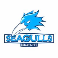 Briarcliffe Seagulls (@briarcliffesea1) 's Twitter Profile