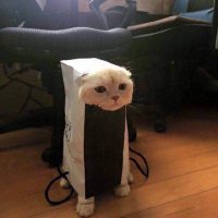 やっちん (@s8bkd7zygx47jws) 's Twitter Profile