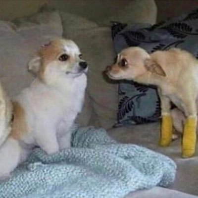 samspam1414's profile picture. backup