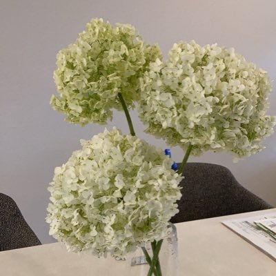 nico_pico20's profile picture. 819大好き情報収集＆閲覧専用です。  遠い昔に成人済、腐夢雑食