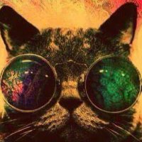 Donna May 🇨🇦🇨🇦‼️‼️‼️ (@donnamay5) 's Twitter Profile Photo Donna May 🇨🇦🇨🇦‼️‼️‼️ (@donnamay5) 's Twitter Profile Photo