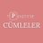 Pozitifcumle's profile image