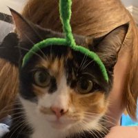 Pauly (@sargin111) 's Twitter Profile Photo Pauly (@sargin111) 's Twitter Profile Photo