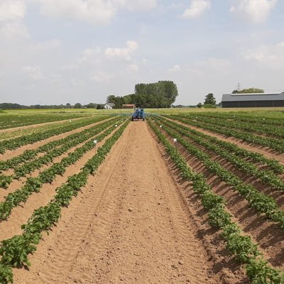 mede eigenaar landbouwbedrijf Mts Giesen en eigenaar Giesen Crop Research