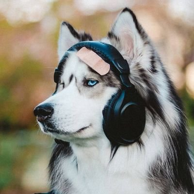 GkbtwAVORgeMOiw's profile picture. 