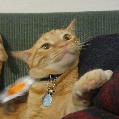 AliceBreakable's profile picture. UwU