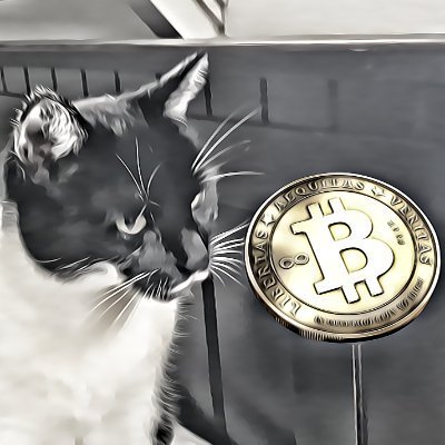 BitcoinWhiskers(#BTC🔑)🦁🌽⚡(FTX Creditor)