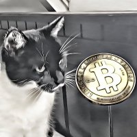 BitcoinWhiskers(#BTC🔑)🦁🌽⚡(FTX 2.0 Advocate)(@BitcoinWhiskers) 's Twitter Profile Photo