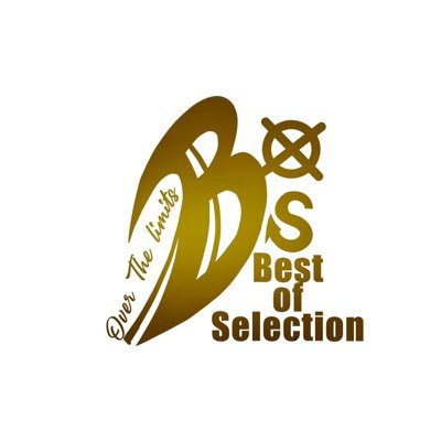 ダーツサロン&ショップ　Best Of Selection Profile