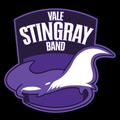 ValeMSBand's profile picture. The Official Twitter Page for the Vale MS Stingray Band Program in Northside ISD.