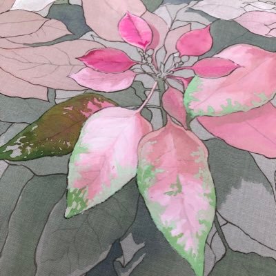 藤本志帆さんのプロフィール画像