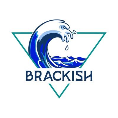 BrackishUlti's profile picture. Mixed ultimate frisbee club of Virginia Tidewater region. Part salty. Part fresh.