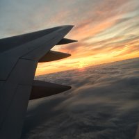 Traveling Mindfully(@TMindfully) 's Twitter Profile Photo