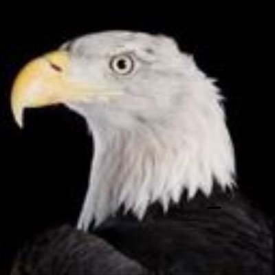 Eagles Coalition Profile