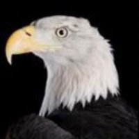 Eagles Coalition(@EaglesGather) 's Twitter Profile Photo