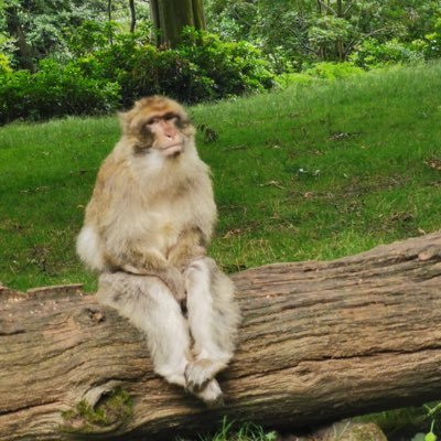 dolly23247425's profile picture. Hi!