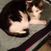 Ingrid en 2 lieve katten๐บ๐บ (@ingrid57878695) Twitter profile photo Ingrid en 2 lieve katten๐บ๐บ (@ingrid57878695) Twitter profile photo
