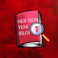 Her gün Yeni Bir Bilgi (@yeni_bir_blgi_) 's Twitter Profile Photo Her gün Yeni Bir Bilgi (@yeni_bir_blgi_) 's Twitter Profile Photo