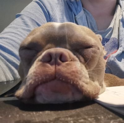 Rebecca06548662's profile picture. Daughter, sister, mother, wife and all the other roles inbetween