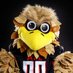 Freddie Falcon (@freddiefalcon) Twitter profile photo Freddie Falcon (@freddiefalcon) Twitter profile photo