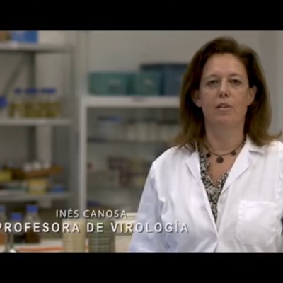Profesora de Virología en la @pablodeolavide. Lidiando entre la regulación de la expresión génica en bacterias y la biorremediación de contaminantes emergentes