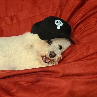 CadorineJess's profile picture. Reader, writer, mom, runner