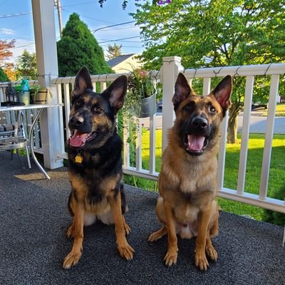 KrownACE's profile picture. just your average guy with loves gaming
https://t.co/fI5bFs7QoN
https://t.co/N3gdARmw2H