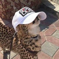 Samm (@sammintv) Twitter profile photo