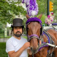 centralparkhorsecarriage (@cphorsecarriage) 's Twitter Profile