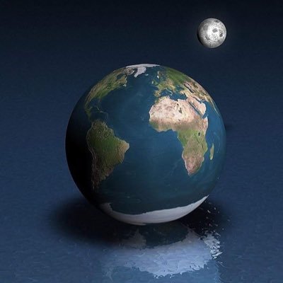 investo84580823's profile picture. I’m InvestorKB 🇳🇬🇳🇬🇳🇬