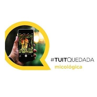 TuitQuedada Micológica