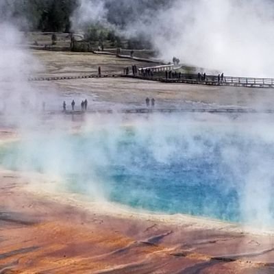 lintscreen's profile picture. 