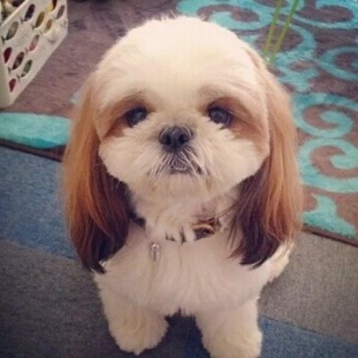 xinhu06065231's profile picture. 