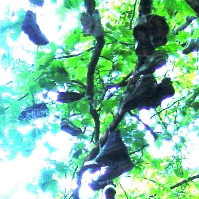 rrangell's profile picture. Writer. Techie. Other.